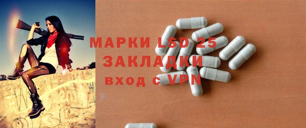 гашик Михайловск