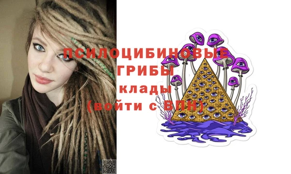 гашик Михайловск
