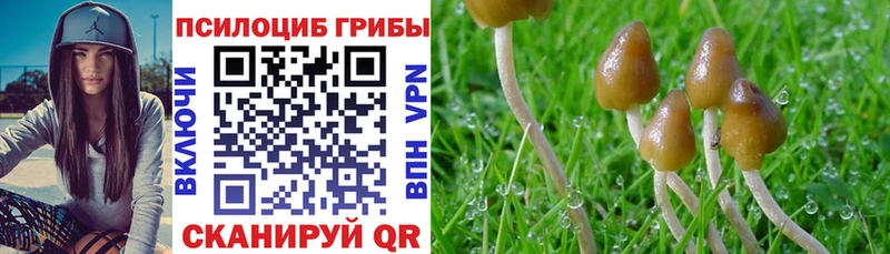 Псилоцибиновые грибы GOLDEN TEACHER  Пугачёв 
